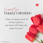 50 Best Happy Valentine's Day Quotes & Messages: 2024